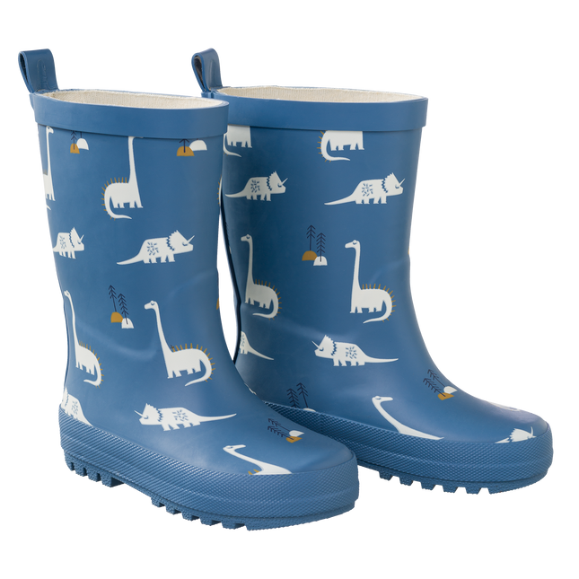 <tc>Fresk</tc> Regenstiefel Dino