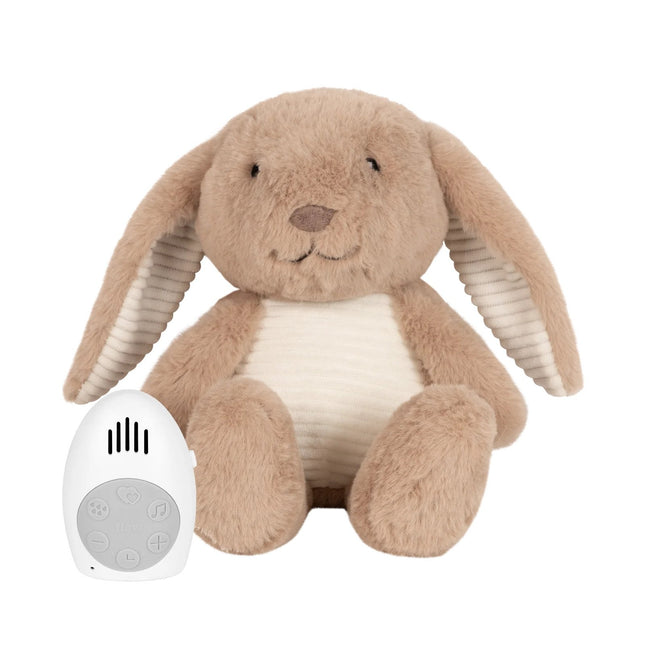 Flow Amsterdam Kuscheln mit Heartbeat Milo Bunny