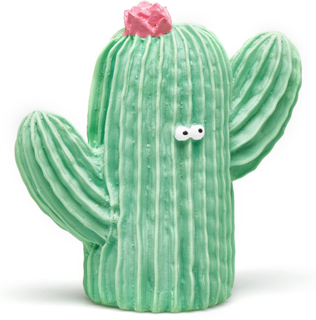 Lanco Beißring Sensory Cactus Grün