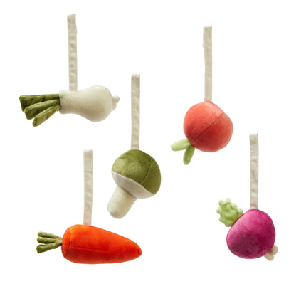 Kid's Concept Babygym Spielzeug Gemüse 5pcs