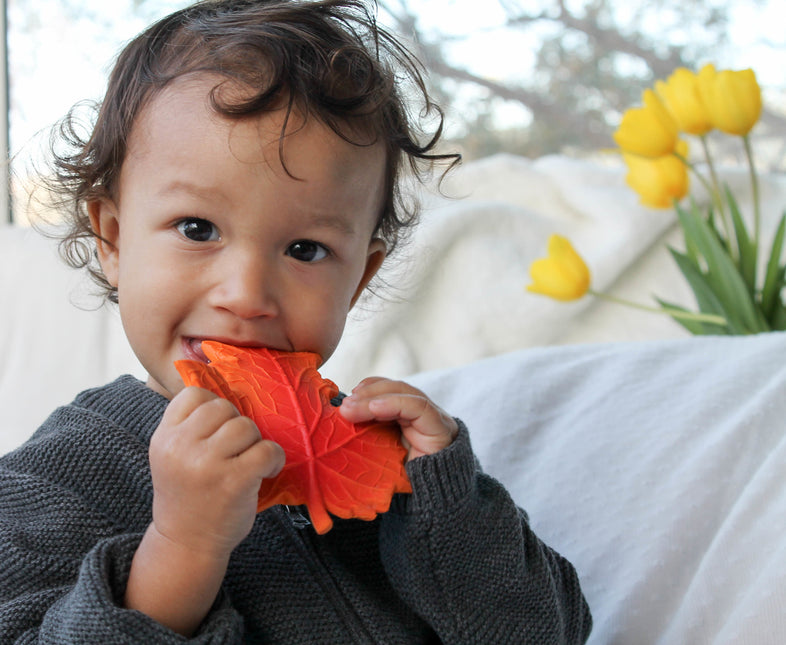 Lanco Beißring Herbstblatt