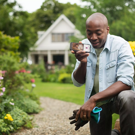 Philips Avent Babyphone mit Wifi