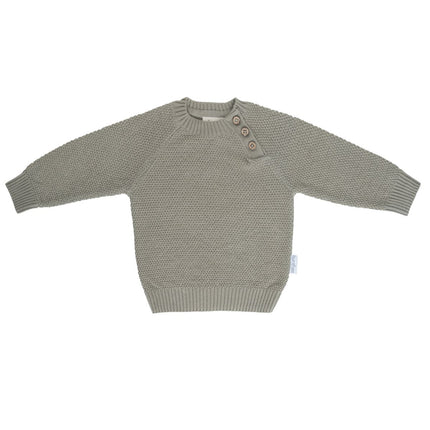 Baby's Only Pullover Willow Urban Green